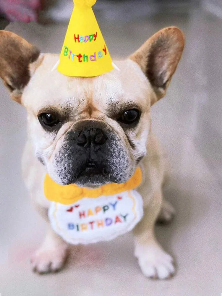 Cat Dog Birthday Bib and Party Hat Mini Doggy Cat Adjustable Bandana