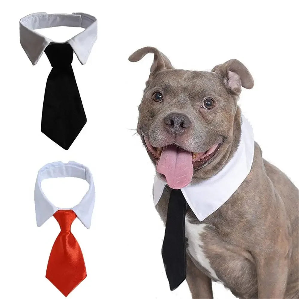 Pet Dog Cat Formal Necktie Tuxedo Bow Tie Black and Red Collar for Dog