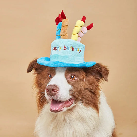 Pet Dog Hat for Birthday Party Adjustable Dog Hats Cats Dog Costumes
